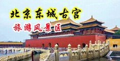 白虎导航嫩穴中国北京-东城古宫旅游风景区